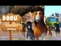 DORU Movie 2017 Full HD
