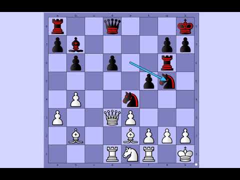 Šah i Mat ☆ Vešto izvedeni napad na Kralja ☆  GELFAND vs  CORDOBA  # 1501