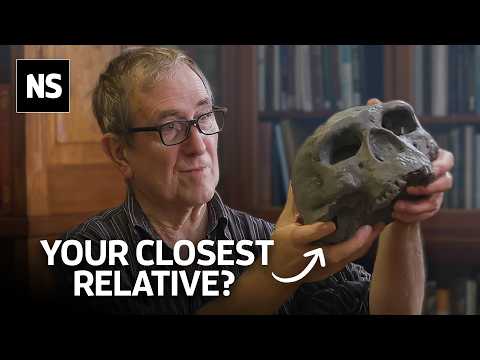 Where Are the Denisovans? The Answer is in our DNA