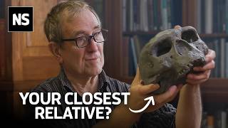 Where Are the Denisovans? The Answer is in our DNA