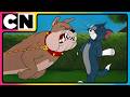 Tom And Jerry Ultimate Prank Battle Cat And Mouse Funny Cartoon Cnindia
