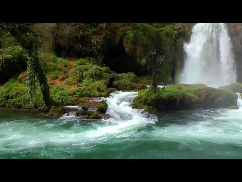 Ask An Alchemist -  Our Severe Mother Saturn