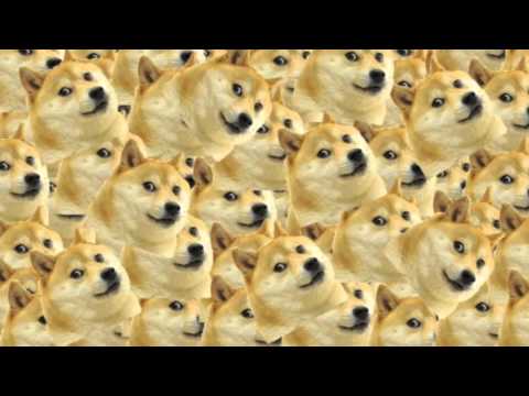 Darrude Dogestorm