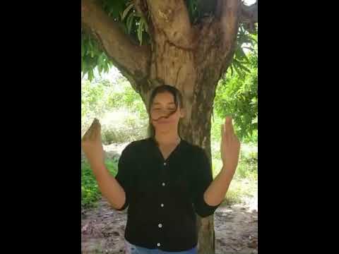 Música Família Original, 3 palavrinhas em Libras