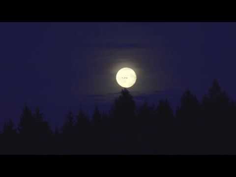 Medo Mulato - Secos e Molhados