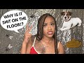 STORYTIME: DATING A TRIFLING DUDE...HIS HOUSE WAS DIRTY AF!! HIS DOG SH!TTED EVERYWHERE!! |KAY SHINE