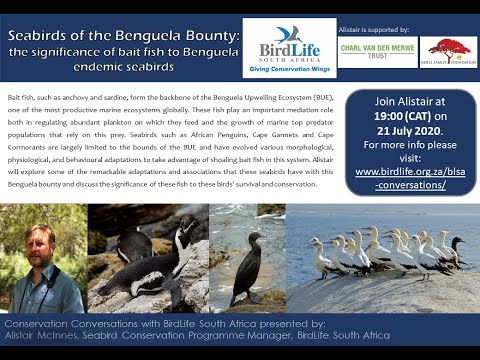 Conservation Conversations: Alistair McInnes - Birds of the Benguela Bounty (21 July 2020)