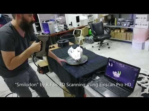 Smilodon Populator by K.Fais