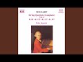 String Quartet No. 1 in G Major, K. 80: II. Allegro