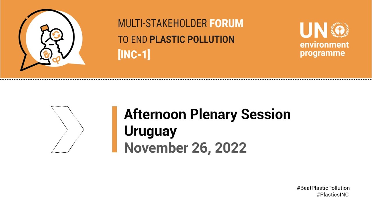 Afternoon Plenary of the Multi-stakeholder Forum, November 26, 2022 Uruguay