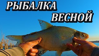 Турнир по ловле рыбы со льда химкинское водохранилище 2020