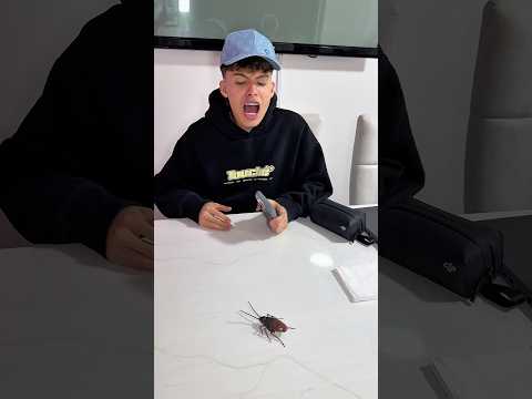 LA CUCARACHA Y LA SERPIENTE #comedia #familiaibañez #humor #papodefamilia #comedy #comedy #funny