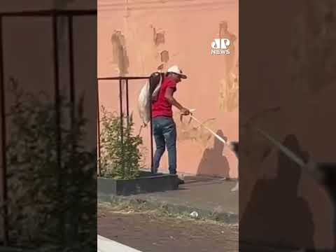 Delegado de folga prende homem por maus tratos contra cão em Igarapava (SP) #shorts