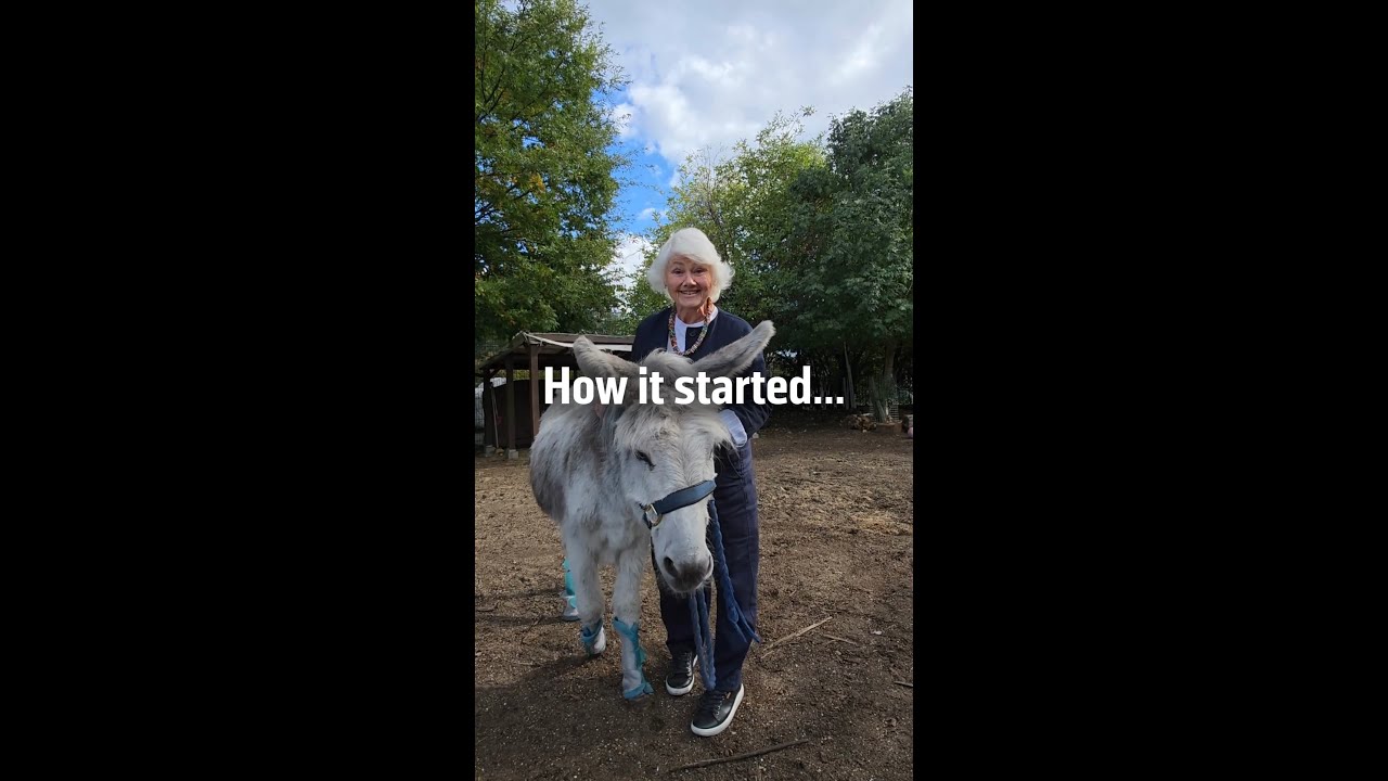 How it started vs how it's going...
