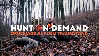 Drückjagd auf dem Traumstand 🐗 von @hunterbrothersofficial