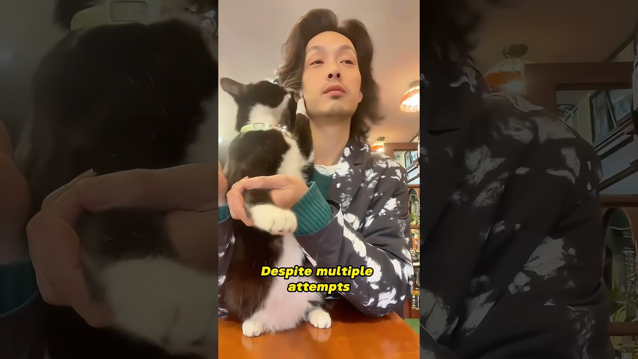 When your cat hates getting kissed #shorts