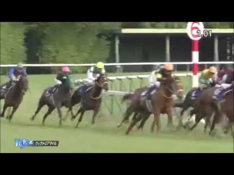 ヴィクトリアマイル2017