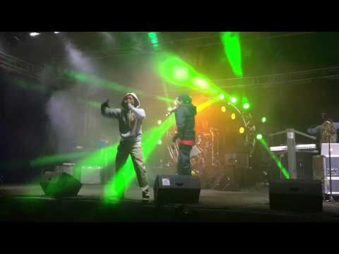 African Sunz x Monkey Nutz Live @ Shoko Festival 2016