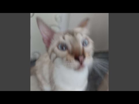 Video thumbnail for ЗАТКНИСЬ! (SHUT UP!)