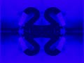 1995 20th Century Fox Home Entertainment In G Major 14 By Sdridsdj Cbsjsa