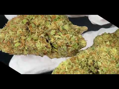 Orange Bud Strain - Flower Quality from cbdengland.co.uk