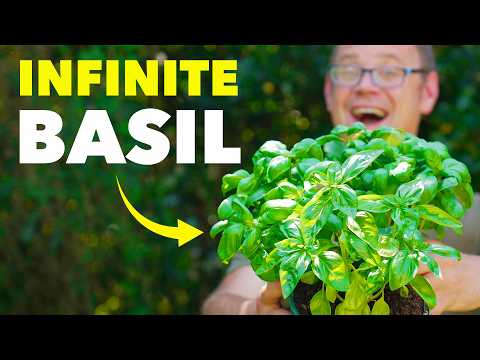 The Clever Way Smart Gardeners Stop Plants Dying