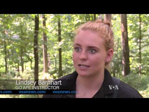 Obstacle Courses Let Visitors 'Go Ape' for Love of Nature, Adventure