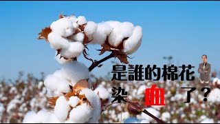 Re: [21夏] 現實主義勇者的王國重建記 02