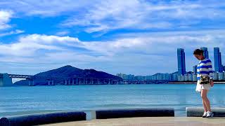 Cocokara Busan Table のライブ配信
