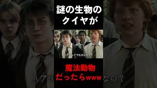 クイヤが魔法動物の世界線