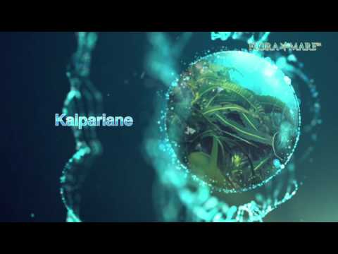 Flora Mare Platinum Mare Complex by TVPro