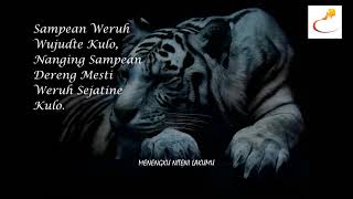 Download lagu story wa macan putih 30 detik | terbaru mp3