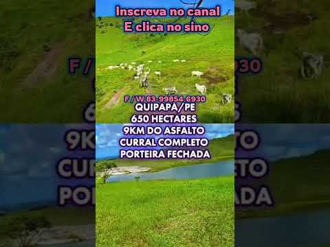 Excelente fazenda com 650 hectares em Quipapá PE #brasil #fazenda #mercadoagricola #pecuarista #gado