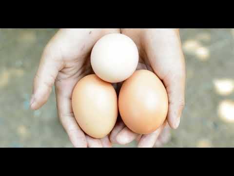 Quels sont les effets sur votre corps de la consommation quotidienne de 3 œufs par jour ?