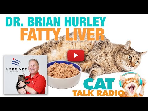Cat Talk Radio - Fatty Liver Syndrome with Dr. Brian Hurley, AmeriVet Veterinary Partners