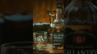 Download lagu Vidio Story||FT. SMVLL Lagu Alkohol Kamu Jahat Tapi enak Lirik mp3