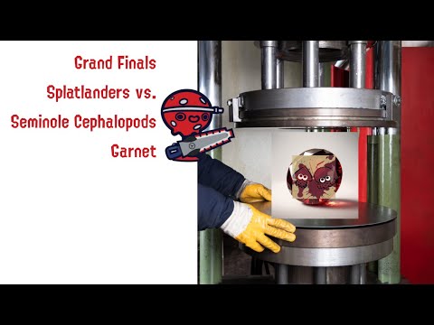Splatlanders vs. Seminole Cephalopods Garnet - CCA Grand Finals Match