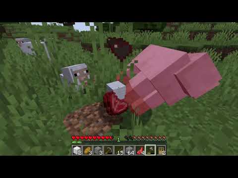 Smeraldimpery EP1, creiamo un impero su Minecraft