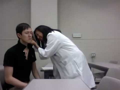 Simulated Physical Exam for Hay Fever