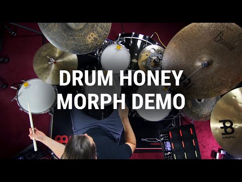 Meinl Drum Honey image 5
