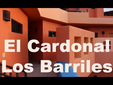 The Wild Side of Baja California! Los Barriles & El Cardonal!