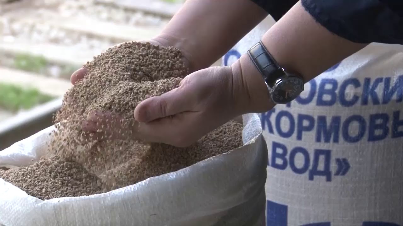 Кольцовский комбикормовый завод