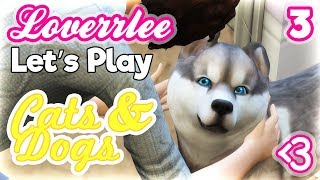 Cats & Dogs #3: Canine Cuddles