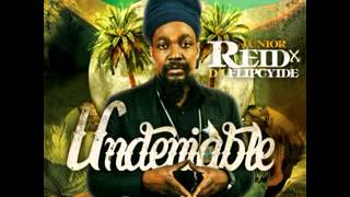 Swizz Beatz Ft  Snoop Dogg &amp; Junior Reid   Co Pilot Undeniable Mixtape