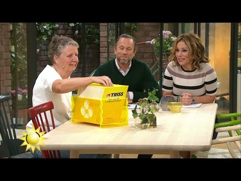Triss-skrapare ger programledarna råd - Nyhetsmorgon (TV4)