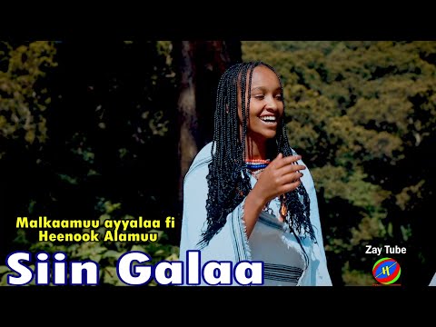 Malkaamuu ayyalaa fi Heenook Alamuu - Siin Galaa - New Oromo cultural music - [official video]