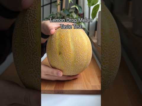 Lemon Melon Taste #shorts #food #tastetest #fruit #lemon #melon #snack