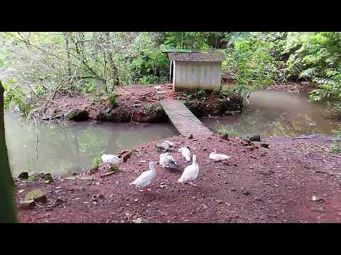 VIAGEM PARA GRUTA DOS ÍNDIOS- SANTA CRUZ DO SUL 🚘🌍