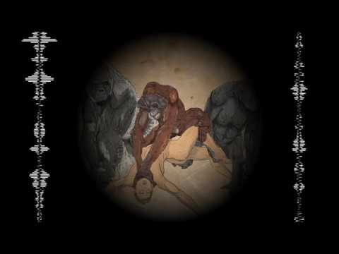 Warriors  - Too Many Zooz (Visualizer)