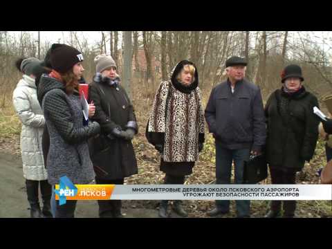 Новости Псков 23.11.2016 # Опасные деревья около псковского аэропорта